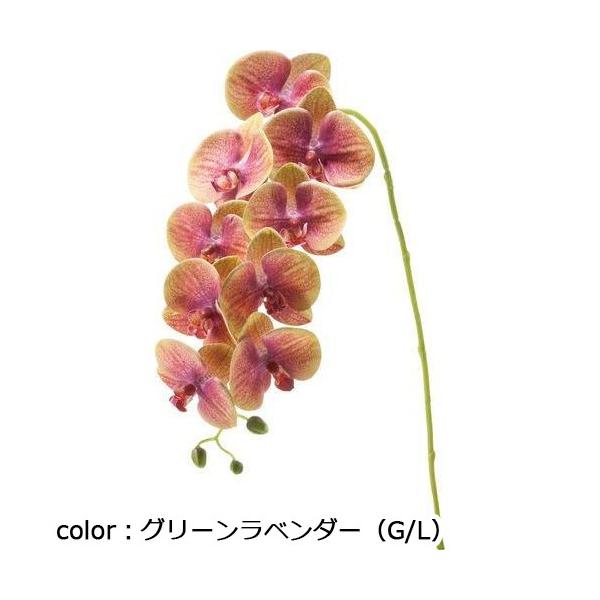 ポピー コチョウラン FA-7203 全長77cm・花径7.5～9cm