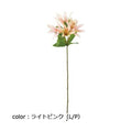 ポピー オリエンタルリリー FA-7207 全長66cm・花径6～8.5cm