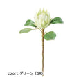 ポピー キングプロテア FA-7210 全長68cm・花径13cm