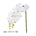 ポピー シングルオーキッド FA-7211 全長58cm・花径6.5cm