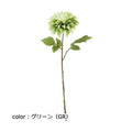 ポピー ミューズダリア FA-7246 全長57cm・花径15cm