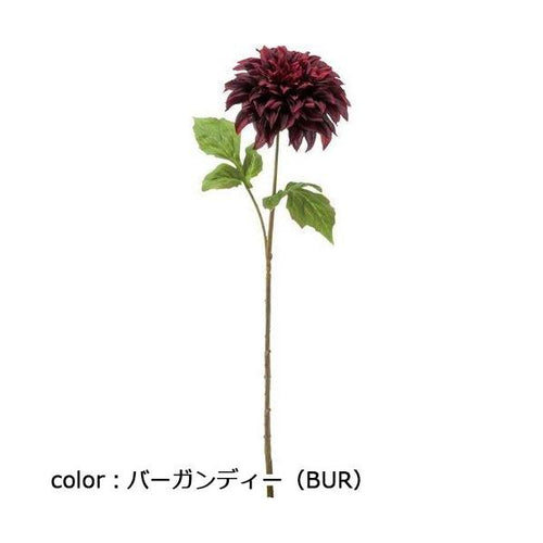ポピー ミューズダリア FA-7246 全長57cm・花径15cm