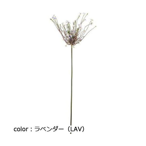 ポピー シュベルティ FA-7370 全長75cm・花房長16cm