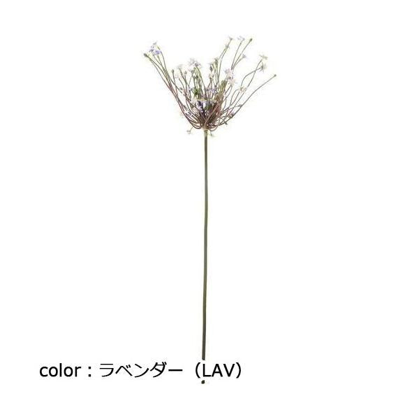 ポピー シュベルティ FA-7370 全長75cm・花房長16cm
