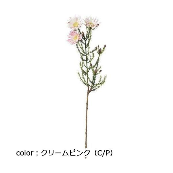 ポピー バーゼリアスプレー FA-7374 全長60cm・花径6.5cm