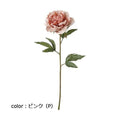 ポピー ラスティックピオニー FA-7384 全長60cm・花径14cm