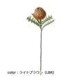 ポピー ドライバンクシアスプレー FA-7387 全長69cm・花径10.5cm