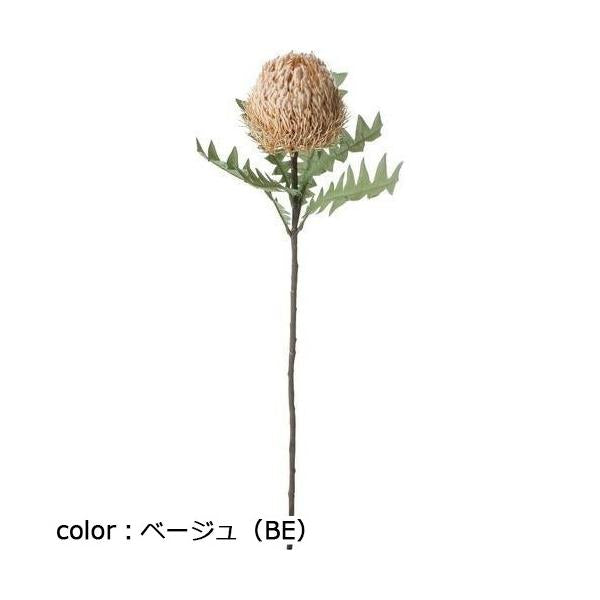 ポピー ドライバンクシアスプレー FA-7387 全長69cm・花径10.5cm