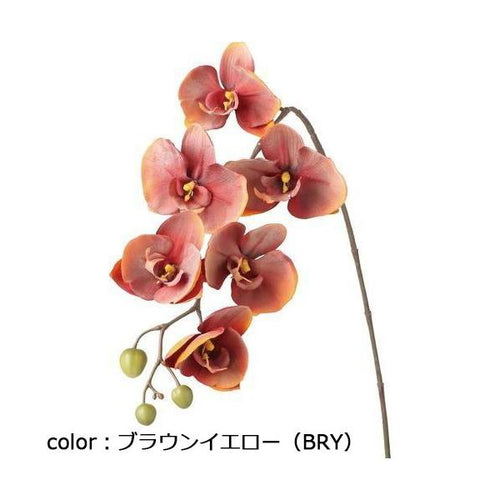 ポピー クンコウコチョウラン FA-7392 全長80cm・花径8.5～11.5cm
