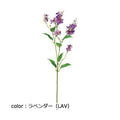 ポピー ノリウツギスプレー FA-7403 全長80cm・花房長5.5～14.5cm