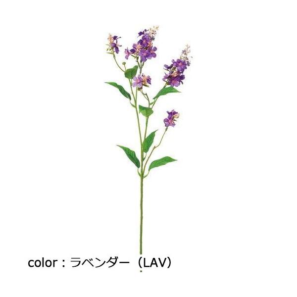 ポピー ノリウツギスプレー FA-7403 全長80cm・花房長5.5～14.5cm