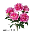 ポピー ピオニーブッシュ FB-2558 全長47cm・花径11～14cm
