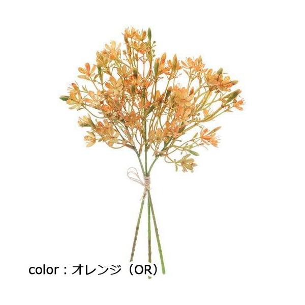 ポピー ジプソーバンドル FB-2605 全長36cm・幅17cm