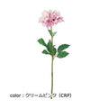 ポピー シングルダリア FD-0100 全長60cm・花径14cm