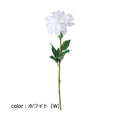 ポピー シングルダリア FD-0100 全長60cm・花径14cm