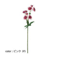 ポピー コンフォートアストランチア FD-0131 全長45cm・花径2～4cm