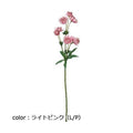 ポピー コンフォートアストランチア FD-0131 全長45cm・花径2～4cm