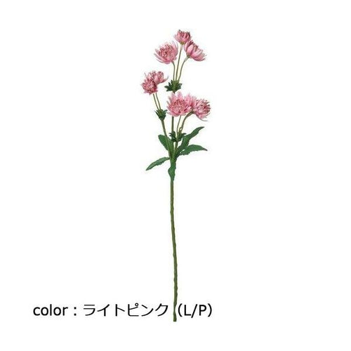 ポピー コンフォートアストランチア FD-0131 全長45cm・花径2～4cm