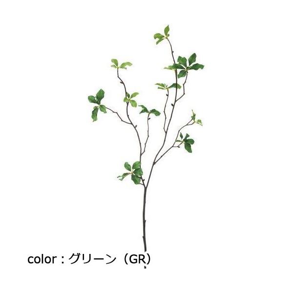 ポピー ピトスポラム FG-4514 全長66cm・葉長1.5～3.5cm