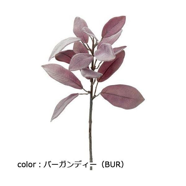 ポピー ラムズイヤーショート FG-4569 全長40cm・葉長6～9cm