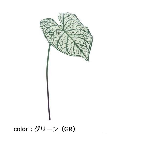 ポピー カラジュームリーフ M FG-4573 全長50cm・葉長24cm・葉径14cm