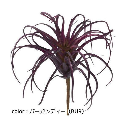 ポピー チランジアピック FG-4586 全長13cm・幅12cm