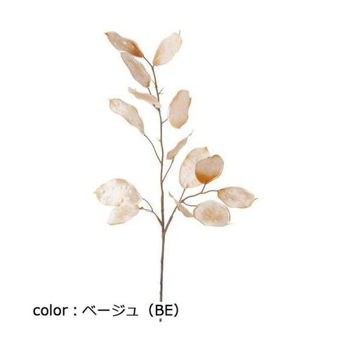 ポピー ルナリアシード FG-4596 全長60cm・葉長6～7.5cm