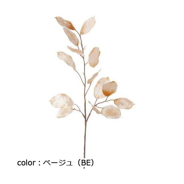 ポピー ルナリアシード FG-4596 全長60cm・葉長6～7.5cm