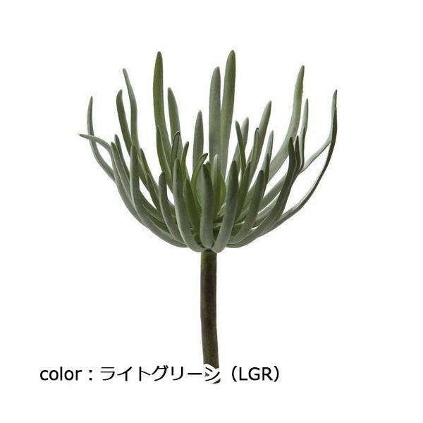 ポピー セネシオピック FG-4676 全長22cm・幅17cm