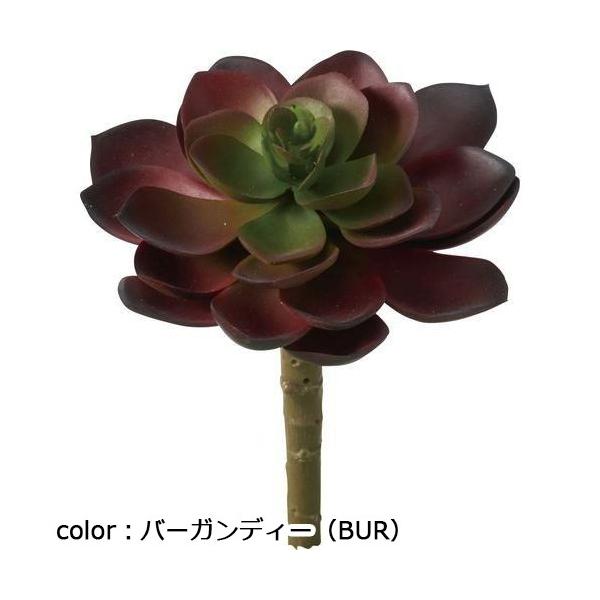 ポピー エケベリアピック FG-4679 全長12cm・幅10cm