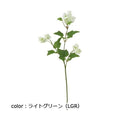 ポピー ホップスプレー FG-4802 全長53cm・花房長3～5cm