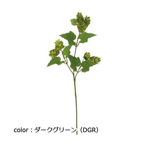 ポピー ホップスプレー FG-4802 全長53cm・花房長3～5cm