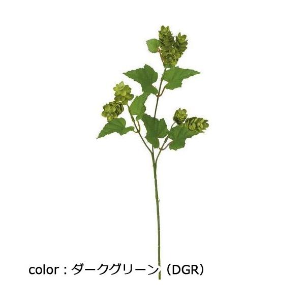 ポピー ホップスプレー FG-4802 全長53cm・花房長3～5cm