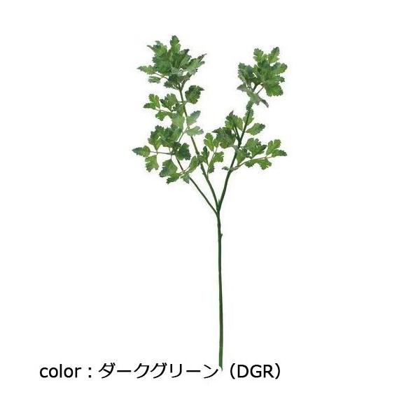 ポピー パセリ FG-4803 全長45cm・葉長2.5～8cm