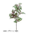 ポピー ワンダーリングジュー FG-4843 全長43cm・葉長5～8.5cm