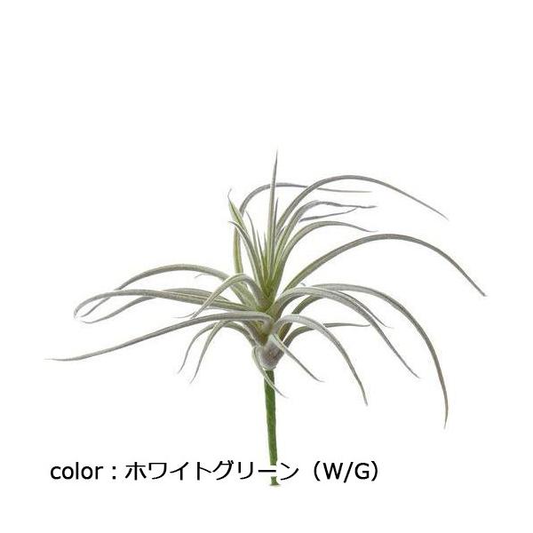ポピー スパイダーチランジア FG-4855 全長17cm・幅18cm