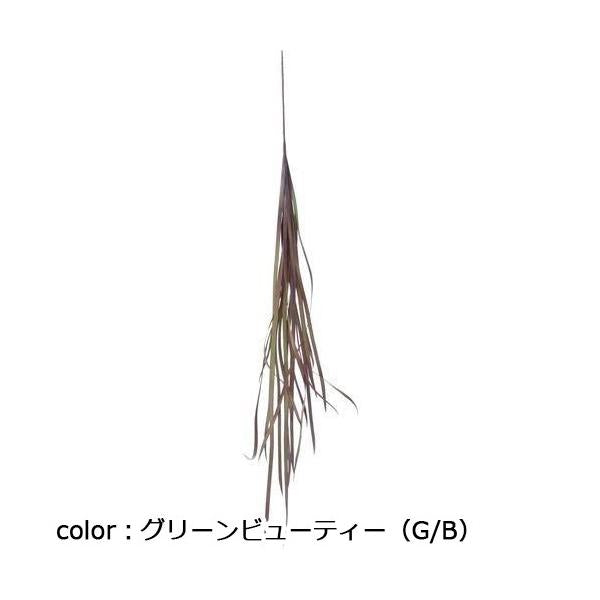 ポピー カラードミスカンサスバイン FG-4929 全長92cm葉幅0.5cm