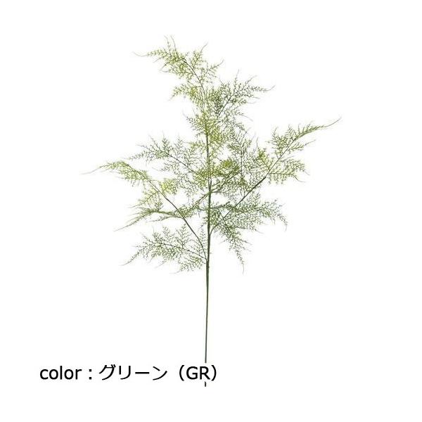ポピー アスパラペラスプレー FG-4952 全長85cm・葉長7～20cm