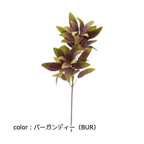 ポピー セージスプレー FG-4956 全長57cm・葉長5～9cm