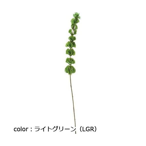 ポピー モルセラ FG-4958 全長79cm