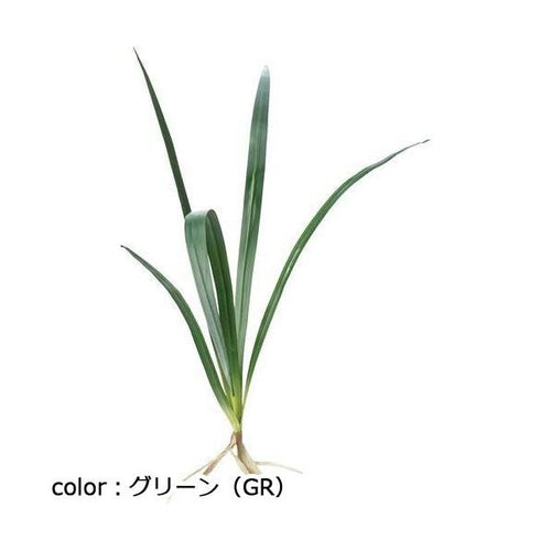 ポピー オーキッドリーフ FG-4966 全長86cm・葉長44～74cm