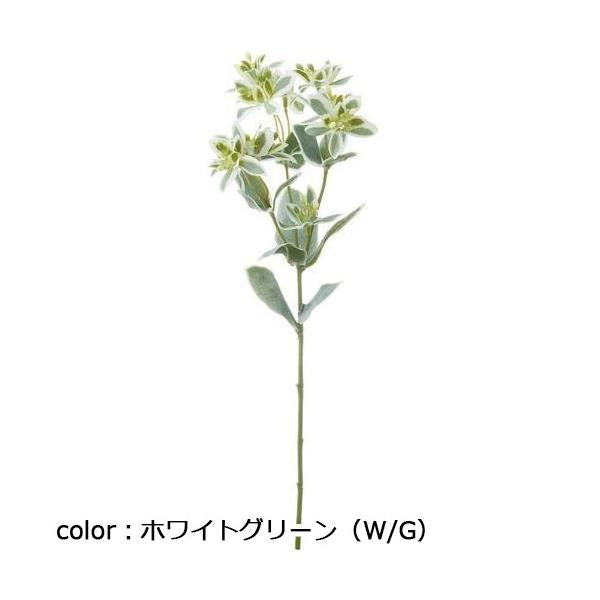 ポピー ユーフォルビア FG-4986 全長47cm