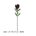 ポピー リュウカデンドロ FG-4994 全長60cm・花径10cm