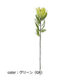 ポピー リュウカデンドロ FG-4994 全長60cm・花径10cm