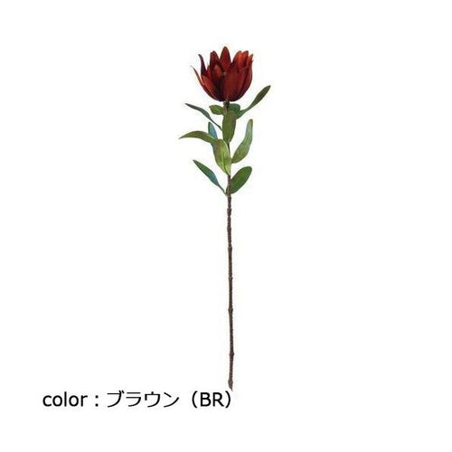 ポピー リュウカデンドロ FG-4994 全長60cm・花径10cm