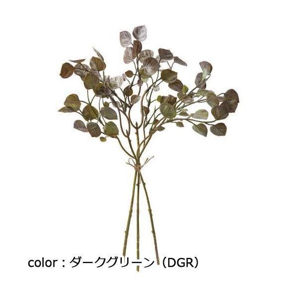 ポピー フォリアムリーフバンドル FG-5052 全長37cm・幅25cm