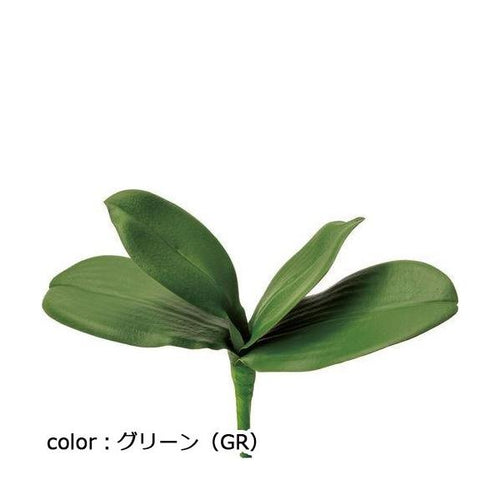 ポピー コチョウランリーフ M FG-5067 全長20cm・葉幅6～7cm・葉長9.5～13cm