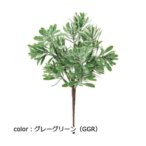 ポピー ボックスウッドブッシュ FG-5075 全長22cm・幅12.5cm
