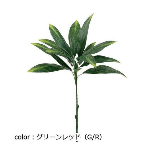 ポピー ドラセナ FG-5101 全長82cm・葉長17.5～30cm