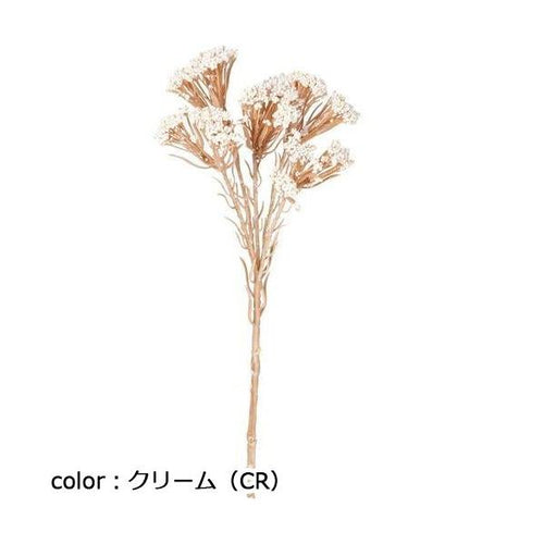 ポピー ドライライスフラワーピック FG-5121 全長32cm・花房径5.5cm